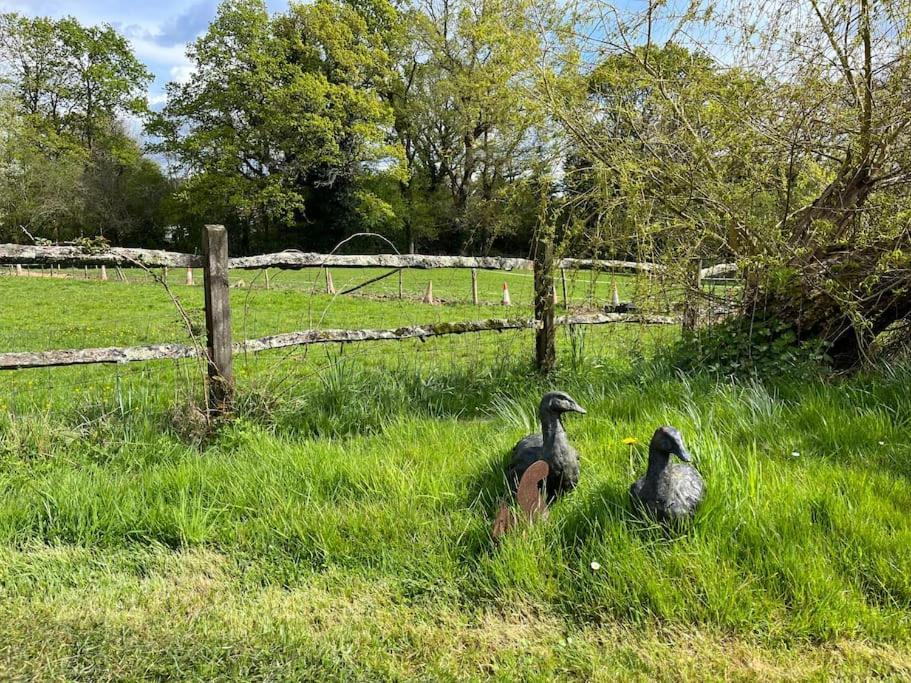 グロソップThe Stable, Grove End Farmアパートメント エクステリア 写真